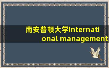 南安普顿大学international management